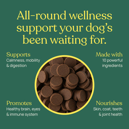 All-in-One Supplements