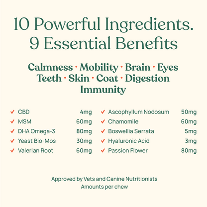 All-in-One Supplements