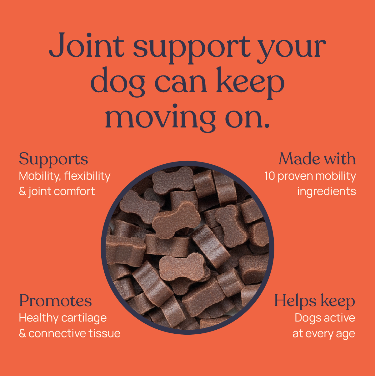 Mobility Supplements