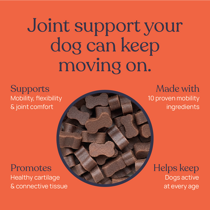 Mobility Supplements