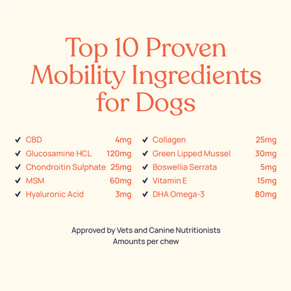 Mobility Supplements